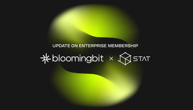 STAT宣布新的企业会员...故事 (IP)，矮胖的企鹅 (PENGU)，太鼓 (Taiko) 等加入